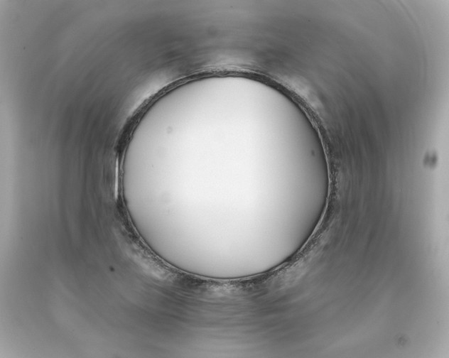 X0000091571219200709100950