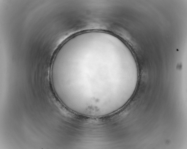 X0000091571220200709100950