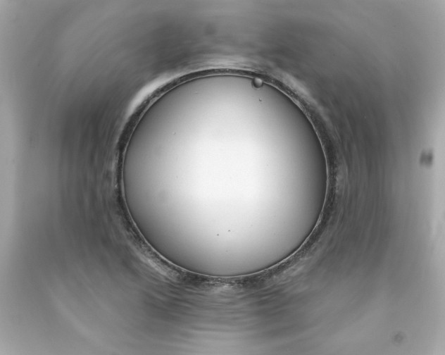 X0000091571222200709100950