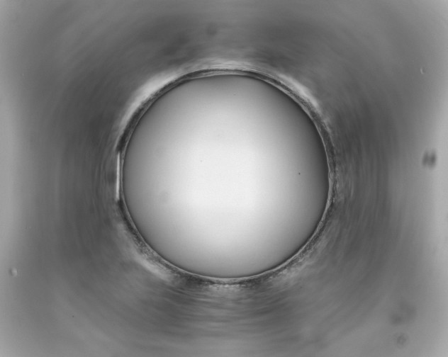 X0000091571223200709100950