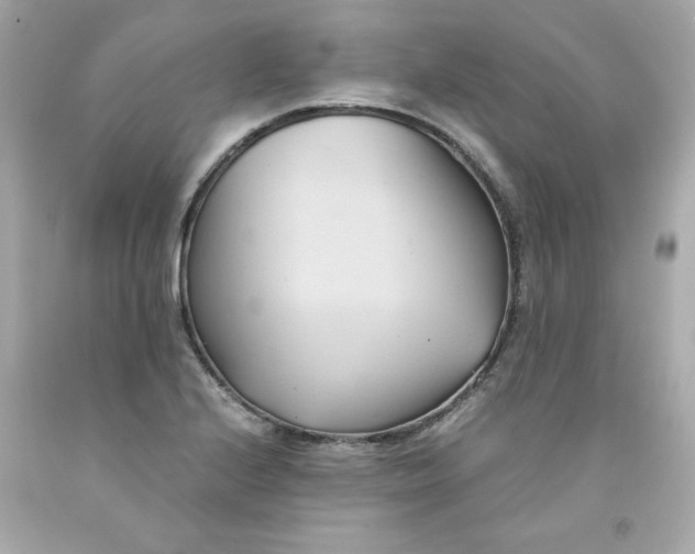 X0000091571224200709100950