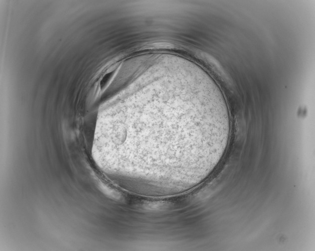 X0000091571225200709100950