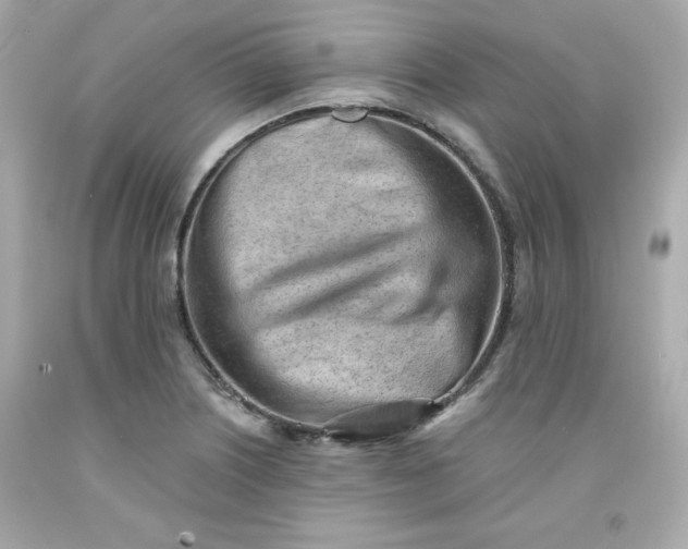 X0000091571226200709100950