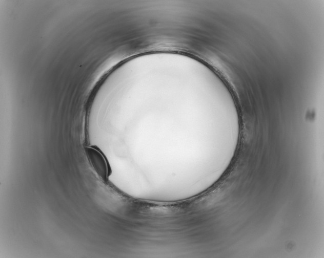 X0000091571227200709100950