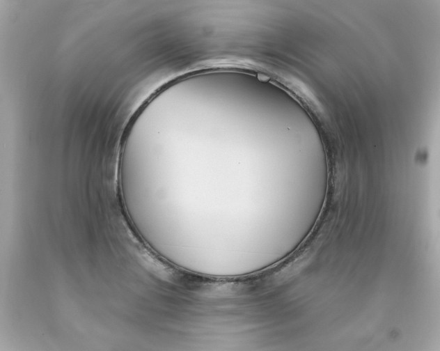 X0000091571228200709100950