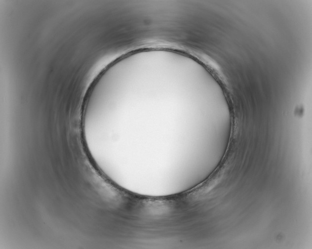 X0000091571231200709100950