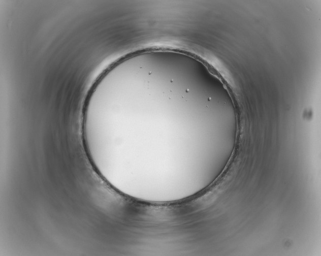 X0000091571232200709100950