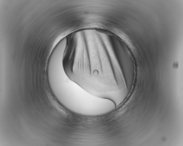 X0000091571234200709100950