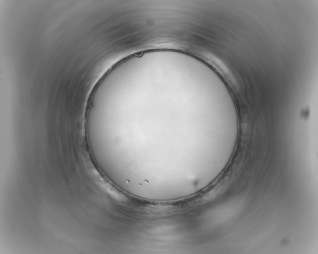 X0000091571236200709100950