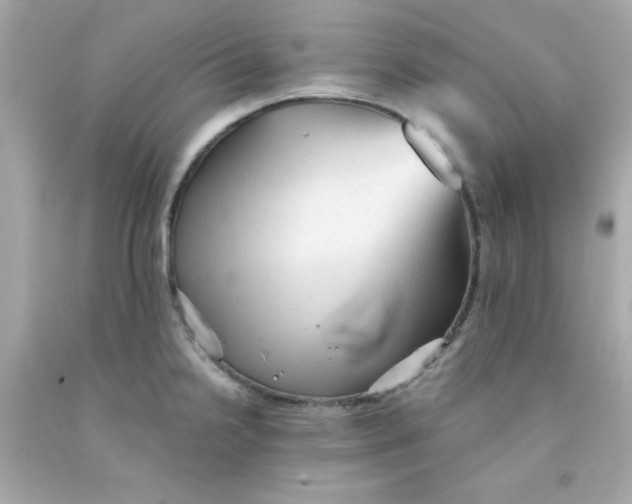 X0000091571238200709100950