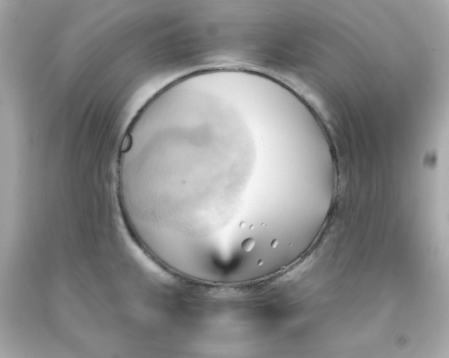 X0000091571239200709100950