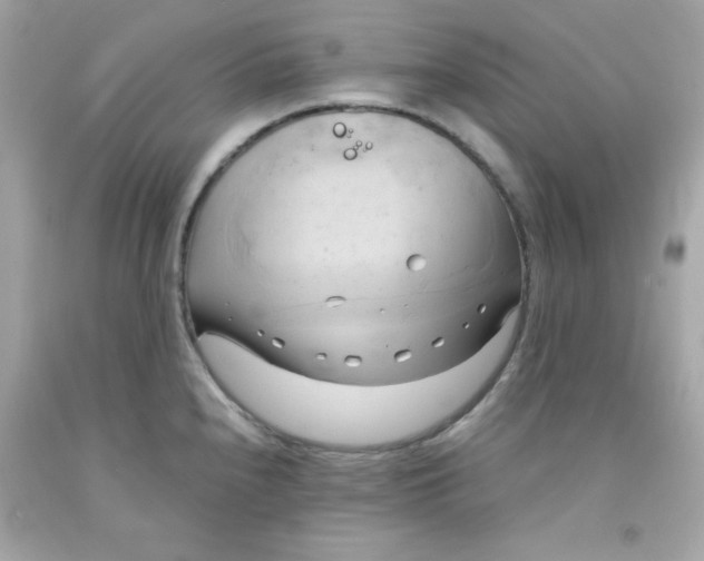 X0000091571240200709100950