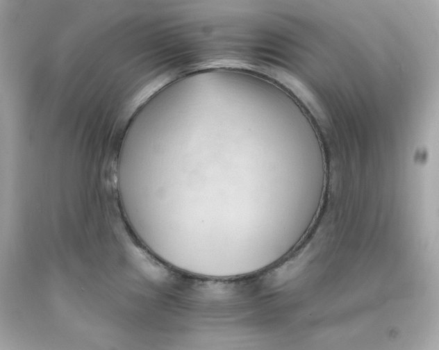 X0000091571241200709100950