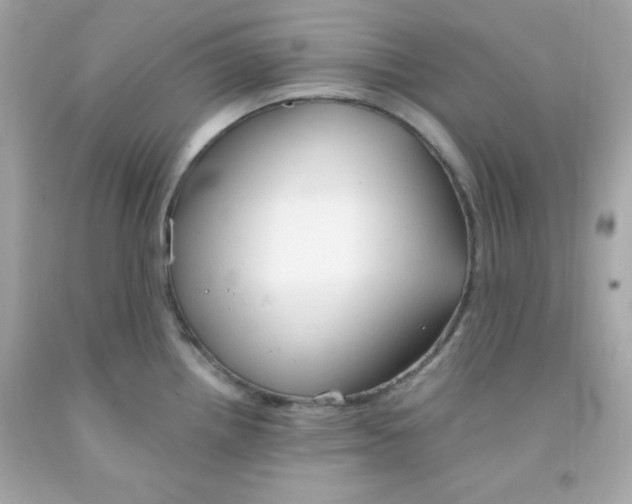 X0000091571242200709100950