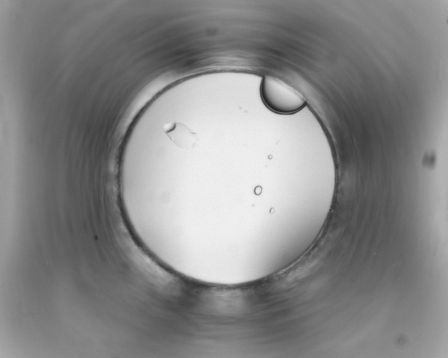 X0000091571243200709100950