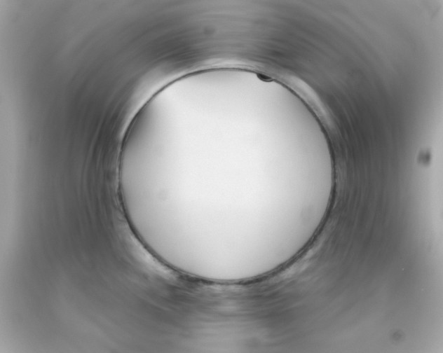 X0000091571244200709100950