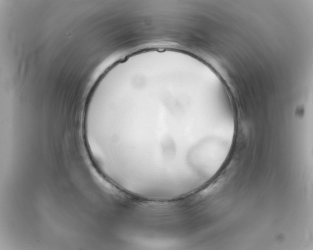 X0000091571245200709100950