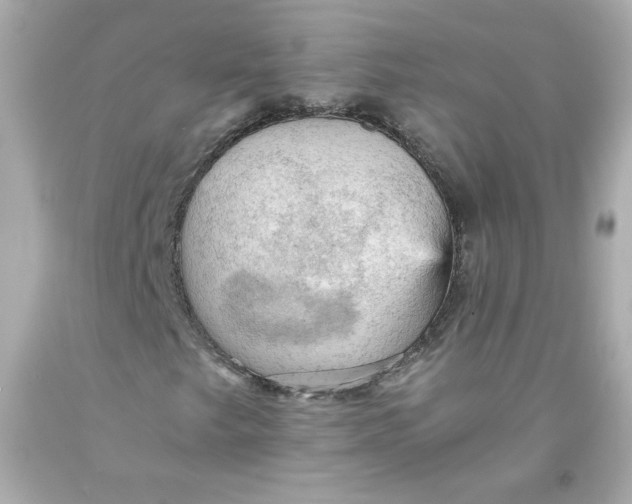 X0000091571249200709100949