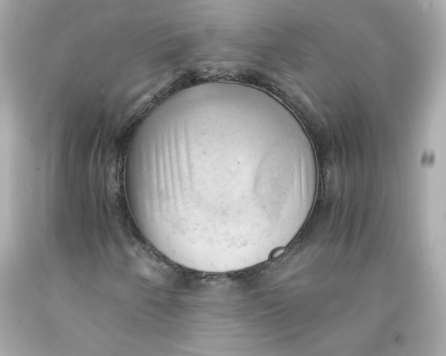 X0000091571250200709100949