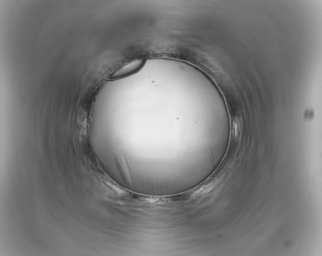 X0000091571251200709100949