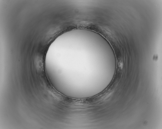 X0000091571252200709100949