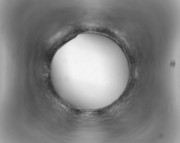 X0000091571253200709100949