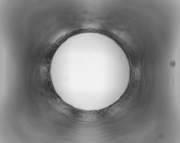 X0000091571254200709100949