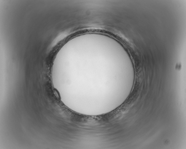 X0000091571255200709100949