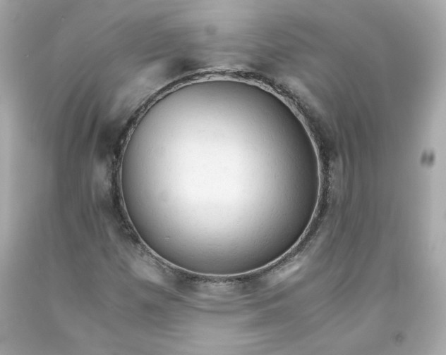 X0000091571257200709100949