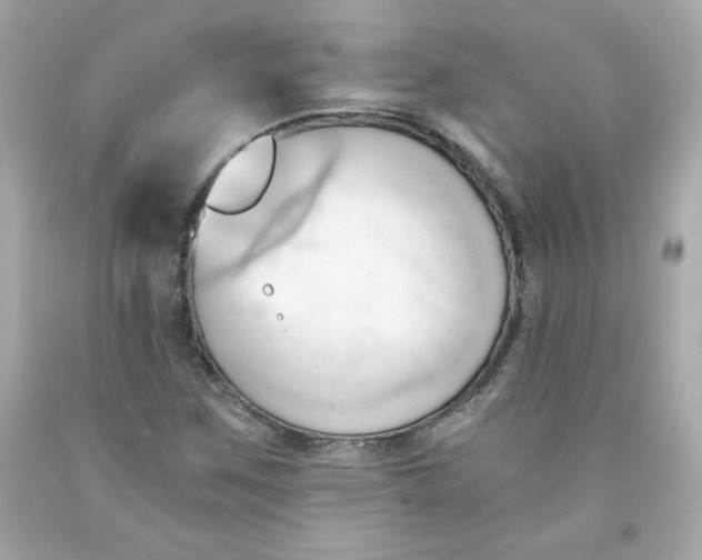 X0000091571259200709100949