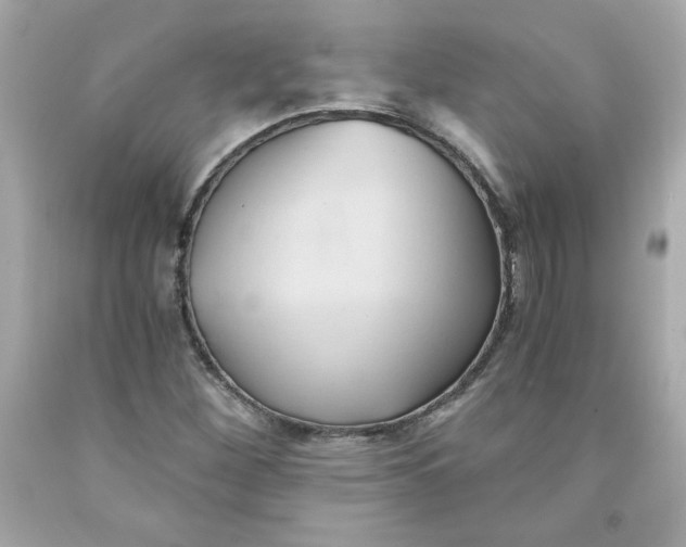 X0000091571260200709100949