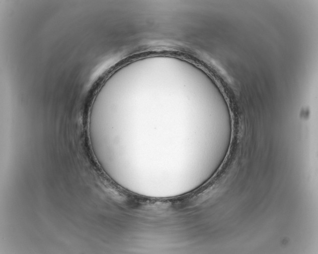 X0000091571261200709100949