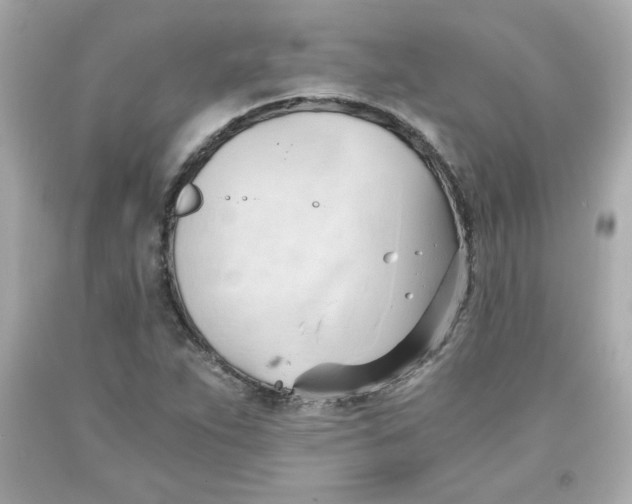 X0000091571263200709100949