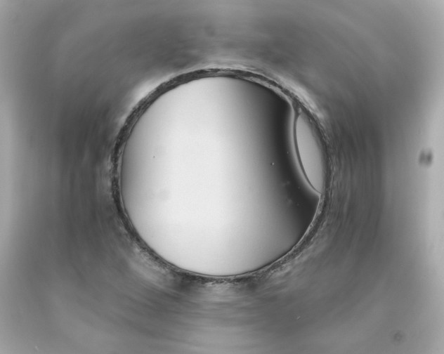 X0000091571264200709100949