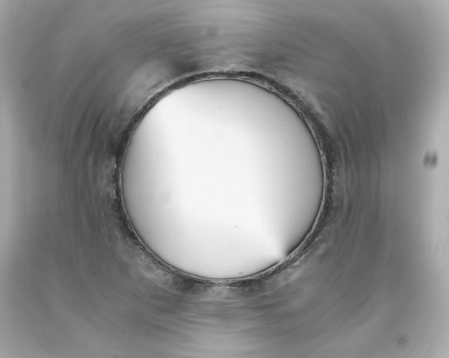 X0000091571265200709100949