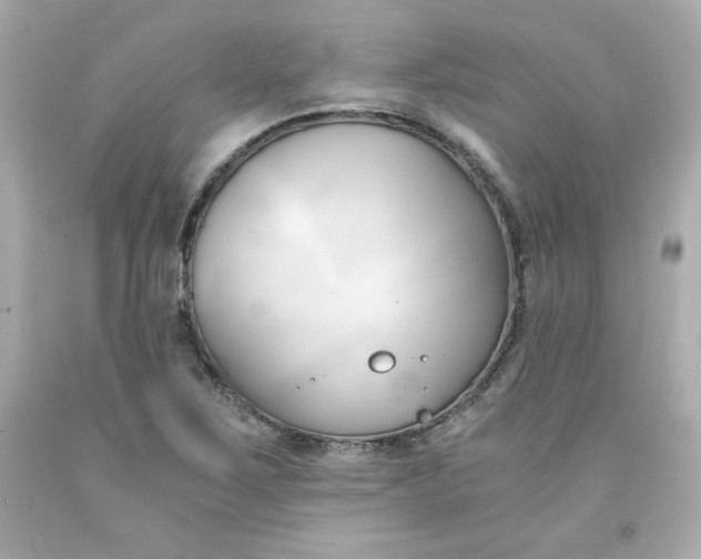 X0000091571267200709100949