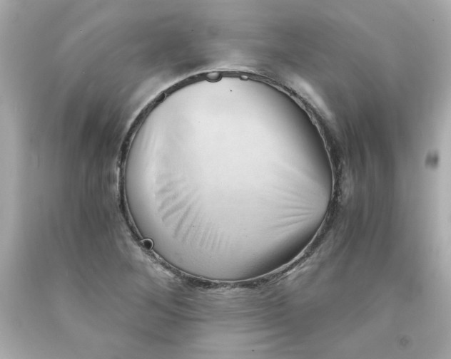 X0000091571268200709100949