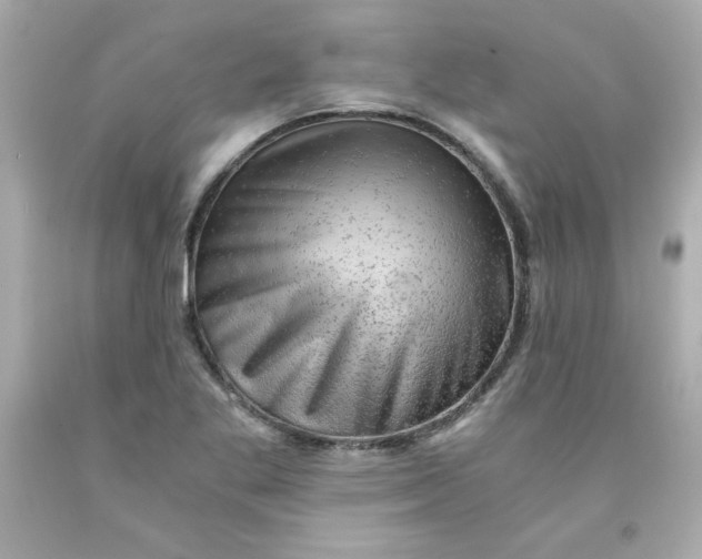 X0000091571269200709100949