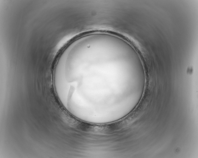 X0000091571271200709100949