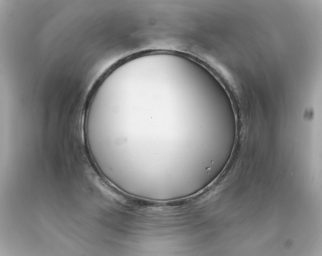 X0000091571272200709100949