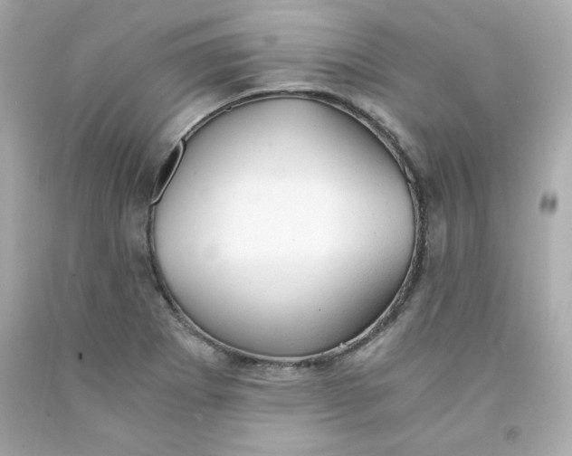 X0000091571273200709100949