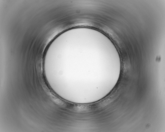 X0000091571274200709100949