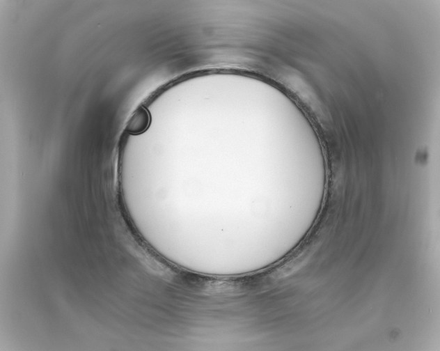 X0000091571275200709100949