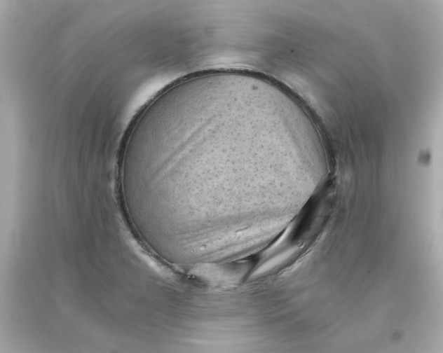 X0000091571277200709100949