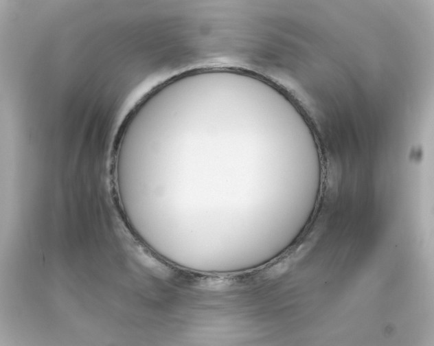 X0000091571278200709100949