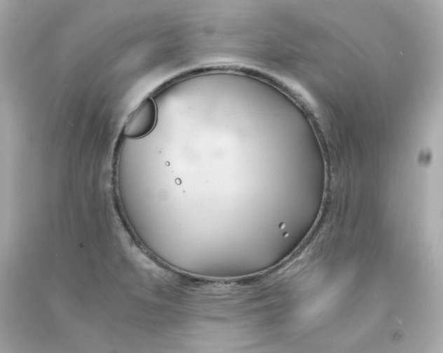 X0000091571279200709100949