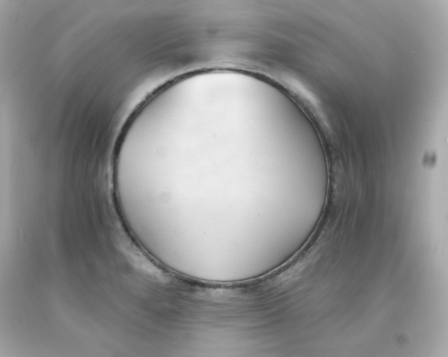 X0000091571280200709100949