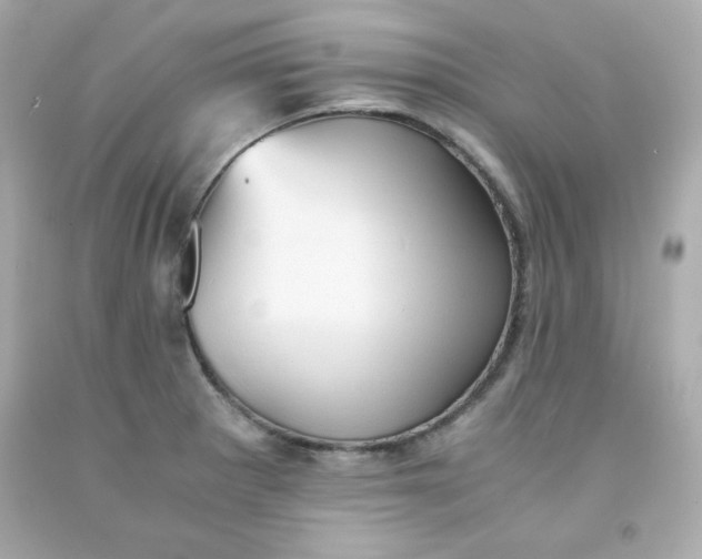 X0000091571281200709100949