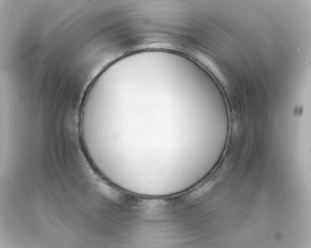 X0000091571282200709100949