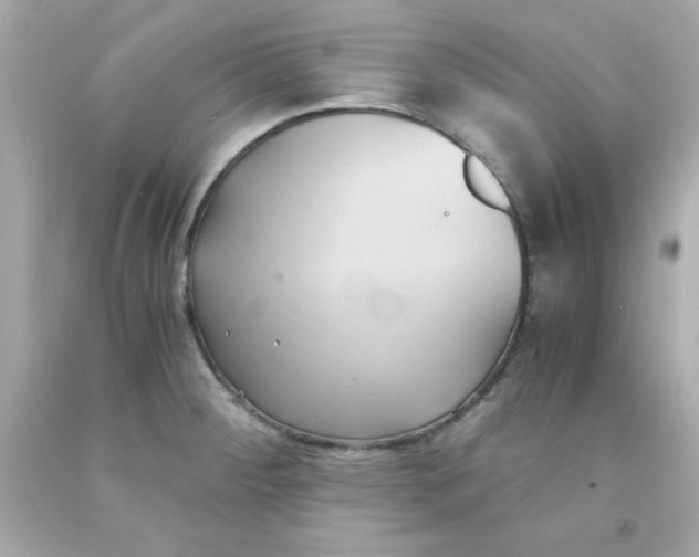 X0000091571284200709100949